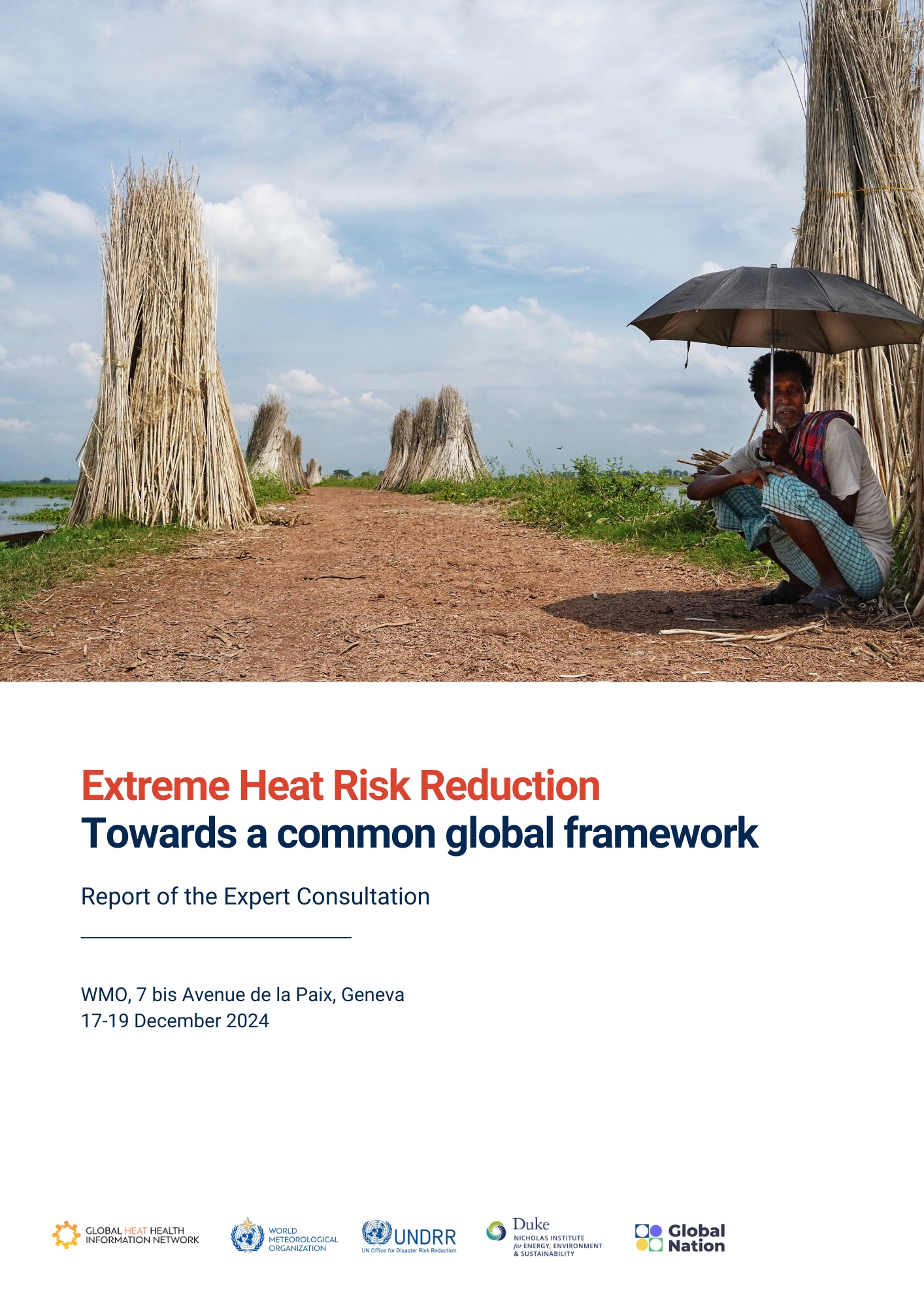 https://heathealth.info/resources/report-heat-governance-consultation/