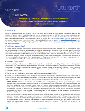 Heatwave Issue Brief