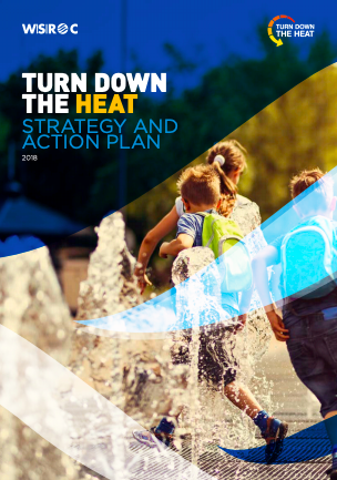 Turn Down the Heat: Strategy and action plan