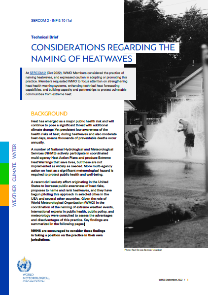 Considerations Regarding the Naming of Heatwaves