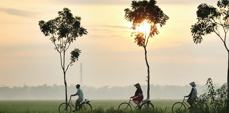 WHO Factsheet: Heat and Health