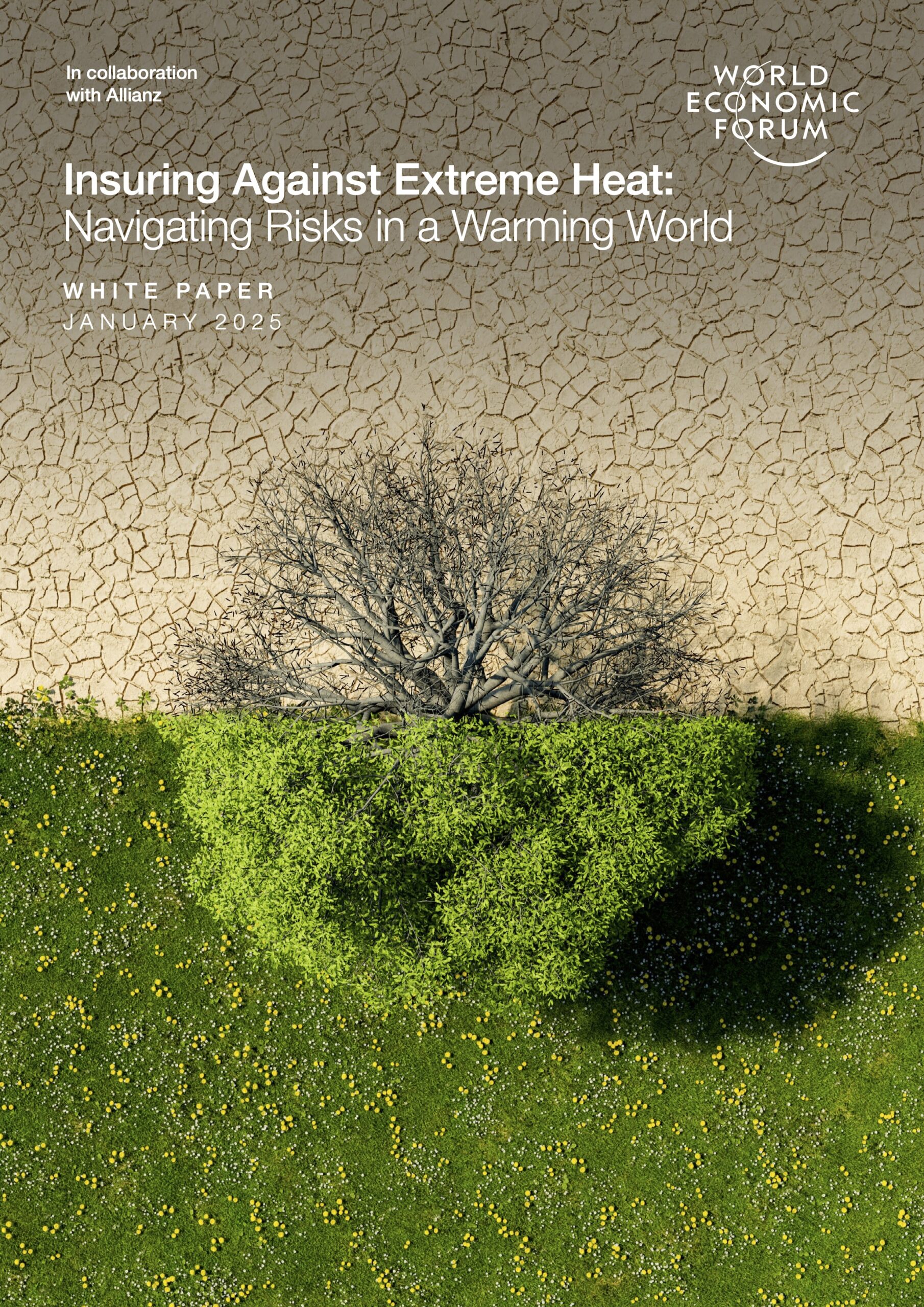 Insuring Against Extreme Heat: Navigating Risks in a Warming World