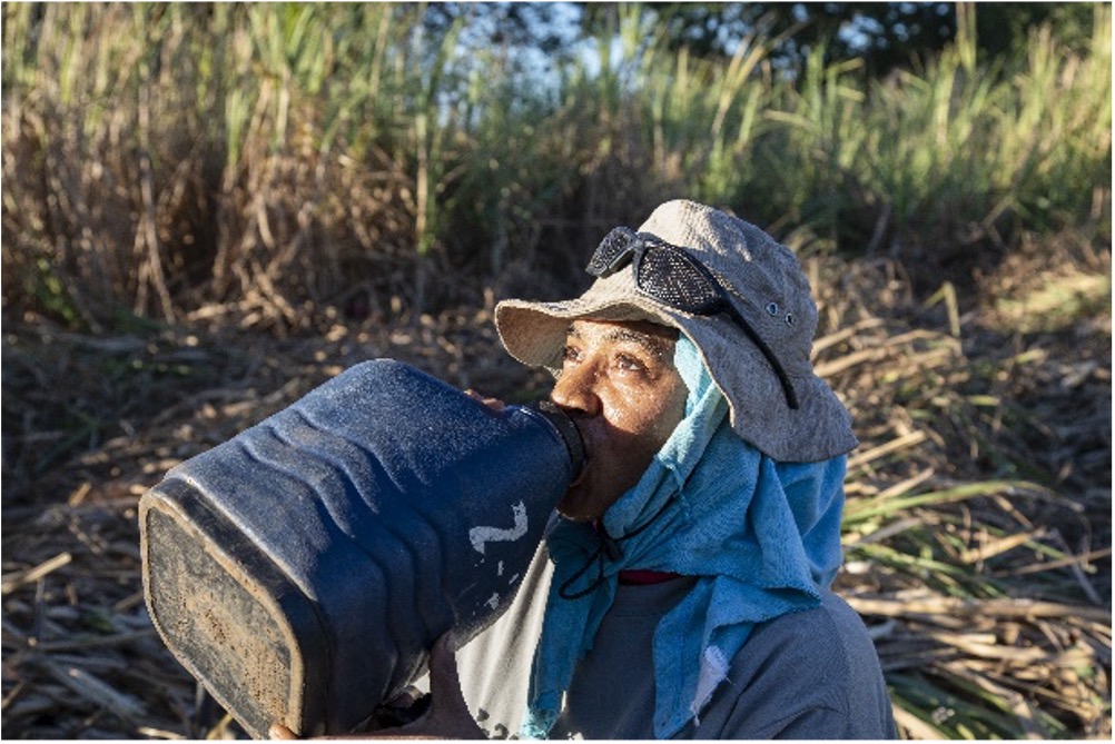Occupational heat stress intervention to prevent Chronic Kidney Disease of undetermined causes (CKDnT) among sugarcane workers in Nicaragua
